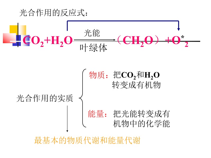 光合作用和呼吸作用专题复习.ppt_第3页