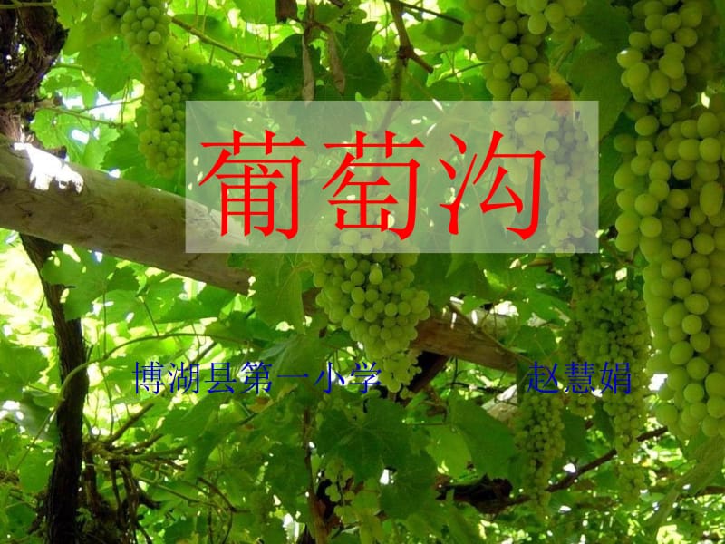 作业葡萄沟课件 (2).ppt_第1页