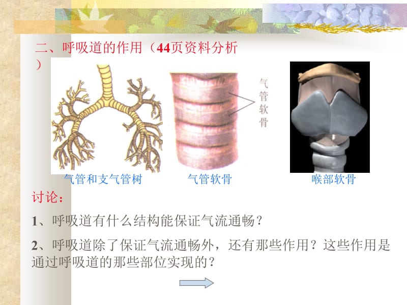 呼吸系统对空气的处理.ppt_第3页