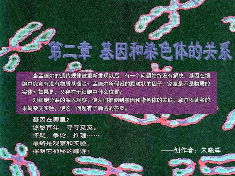 2019年第一节（一）减数分裂精品教育.ppt_第1页