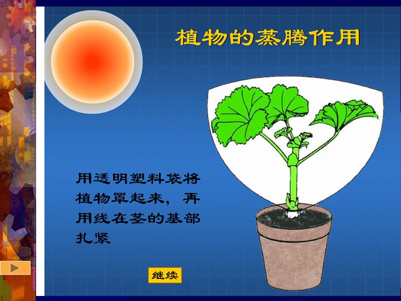 2019年绿色植物参与生物圈的水循环1精品教育.ppt_第2页