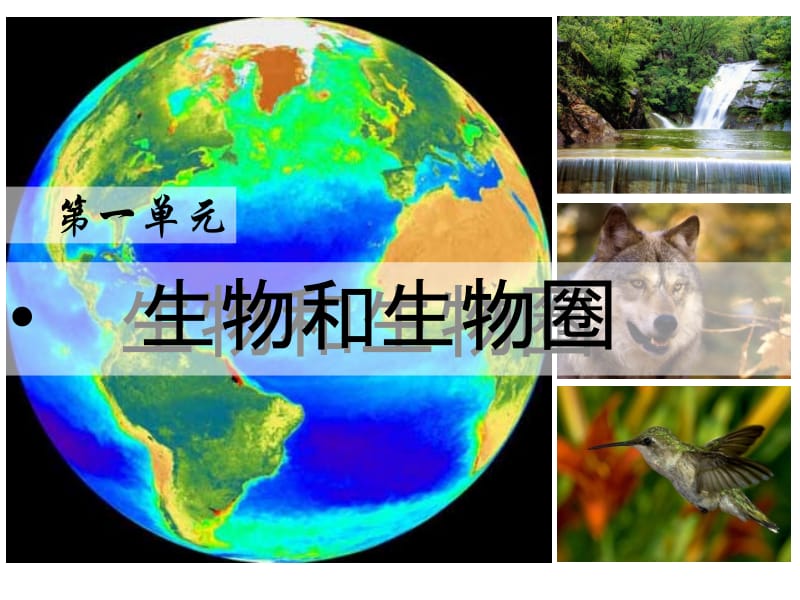 1.2.3生物圈是最大的生态系统.ppt_第1页