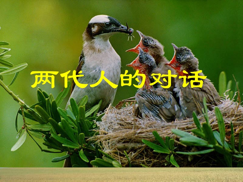 两代人的对话1.ppt_第1页