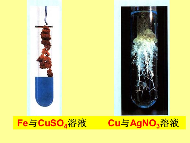 2019年金属与盐溶液的反应精品教育.ppt_第2页