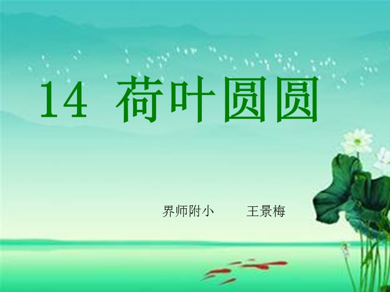 2019年荷叶圆圆的课件精品教育.ppt_第1页