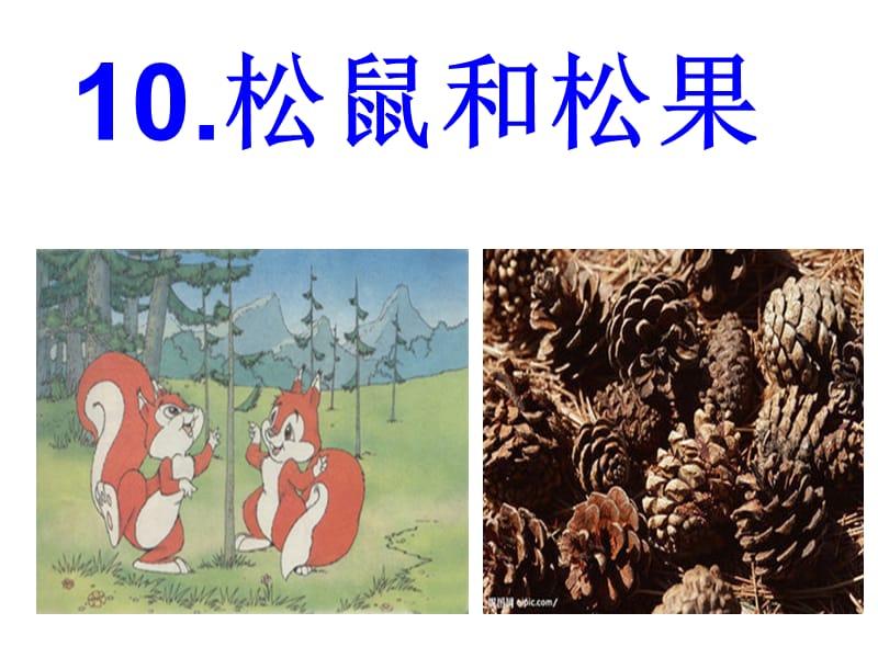 2019年松鼠 (2)精品教育.ppt_第3页