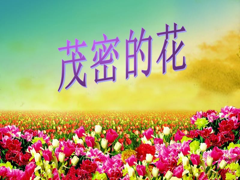 2019年茂密的花二年级上册公开课精品教育.ppt_第1页