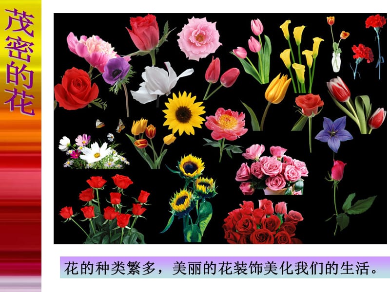 2019年茂密的花二年级上册公开课精品教育.ppt_第3页