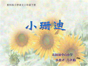 2019年小珊迪 (3)精品教育.ppt