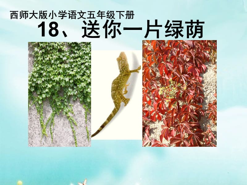 2019年送你一片绿荫精品教育.ppt_第1页