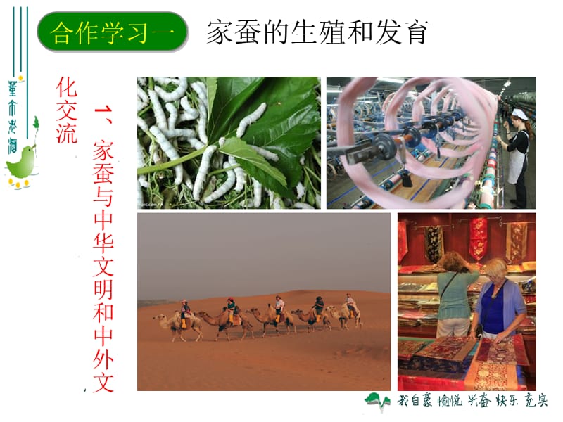 2019年第二节+++昆虫的生殖和发育精品教育.ppt_第3页