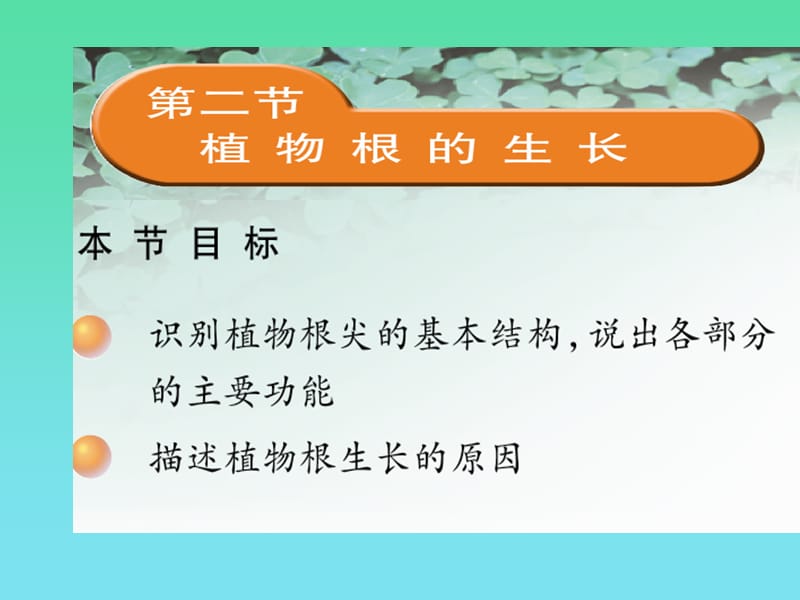 2019年苏教版生物七年级上_第5章_第2节_植物根的生长精品教育.ppt_第1页