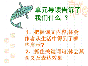 2019年钓鱼的启示ppt (3)精品教育.ppt