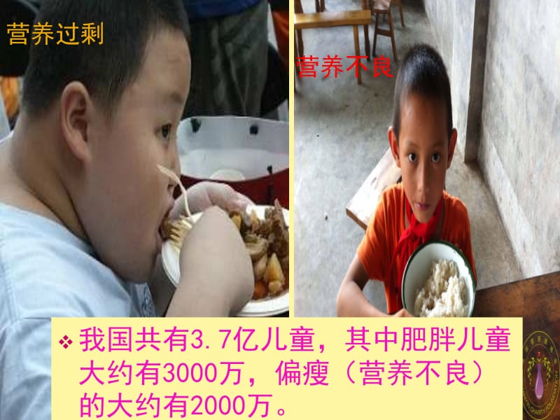 3综合应用：营养午餐2.ppt_第1页