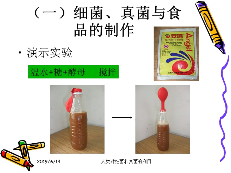 2019年第五节人类对细菌和真菌的利用.ppt精品教育.ppt_第3页