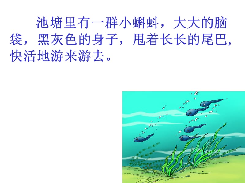 34《小蝌蚪找妈妈》课件.ppt.ppt_第3页