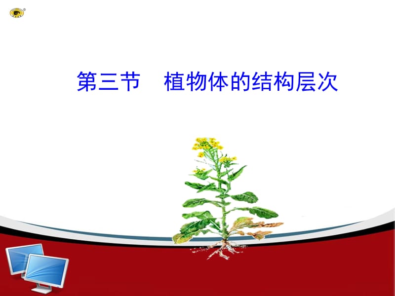 2019年第三节植物体的结构层次精品教育.ppt_第1页