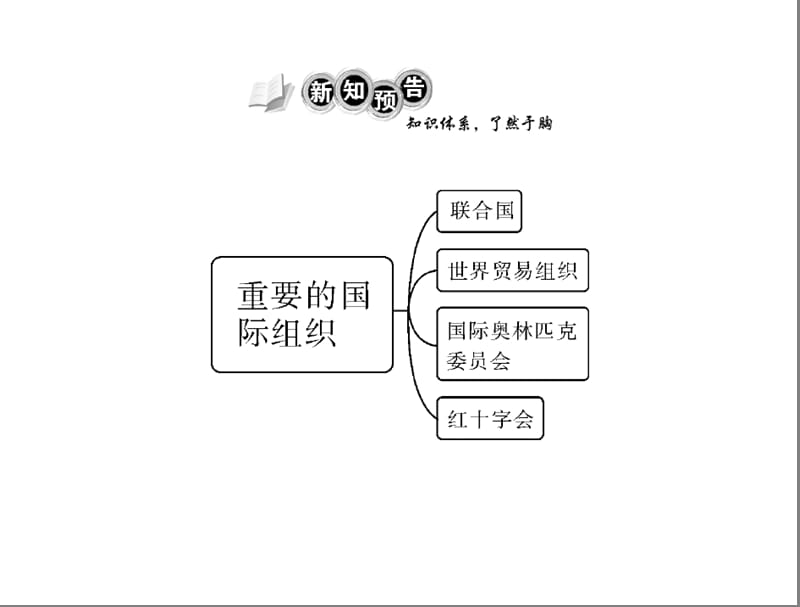 2019年第五章第三节重要的国际组织配套课件精品教育.ppt_第2页