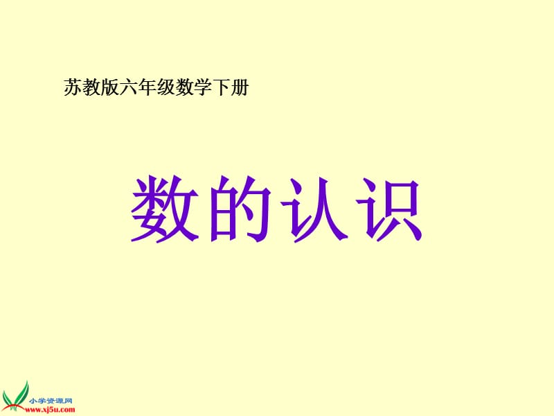 2019年（苏教版）六年级数学下册课件数的认识2精品教育.ppt_第1页