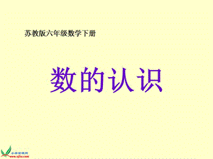 2019年（苏教版）六年级数学下册课件数的认识2精品教育.ppt