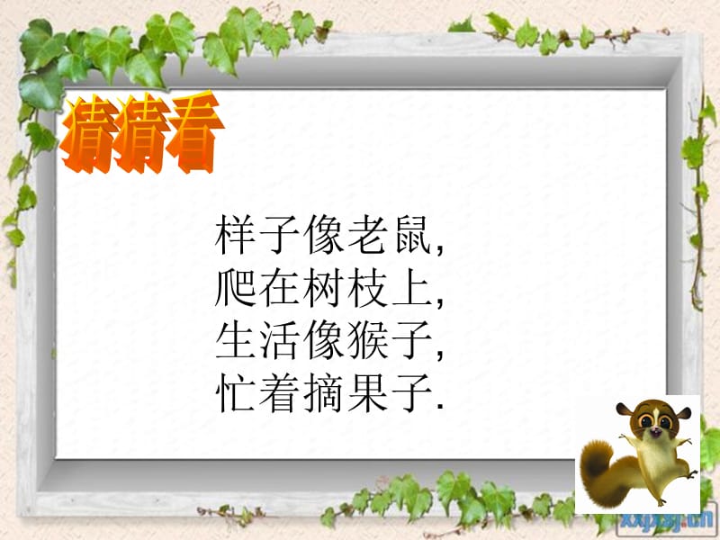 2019年跑进家来的松鼠1精品教育.ppt_第1页