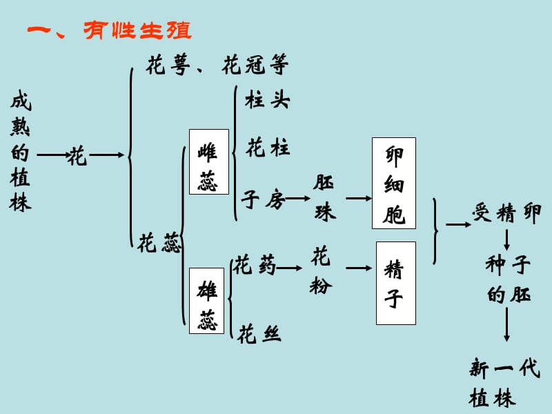 2019年第七单元第一章第一节植物的生殖精品教育.ppt_第3页