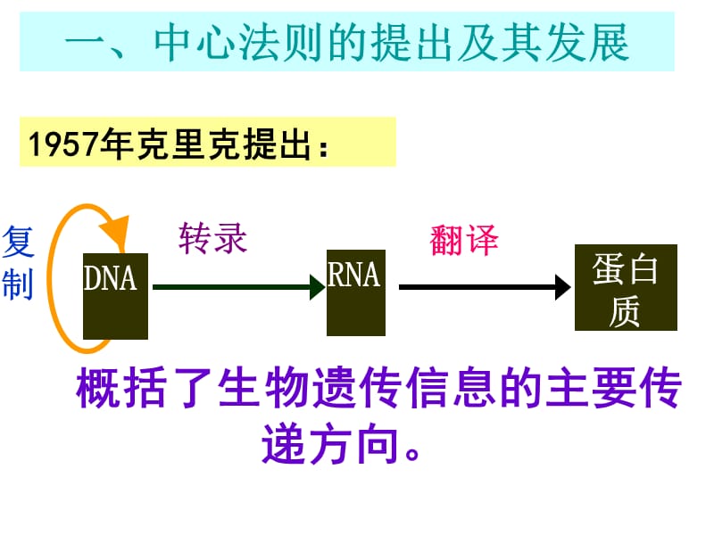 4.2《基因对性状的控制》课件雷群英.ppt_第2页