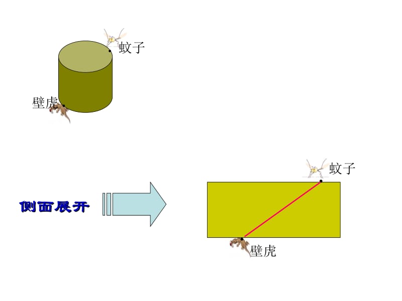 4.1.1几何图形（3）立体的展开与.ppt_第3页