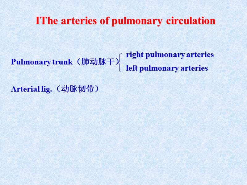 《系解脉管英语》PPT课件.ppt_第2页