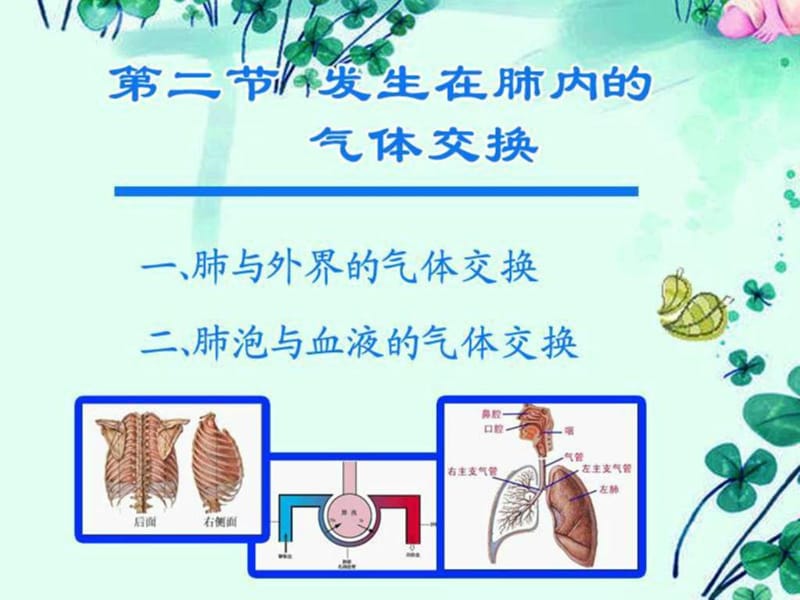 七年级生物下册第二节 发生在肺内的气体交换.ppt_第2页