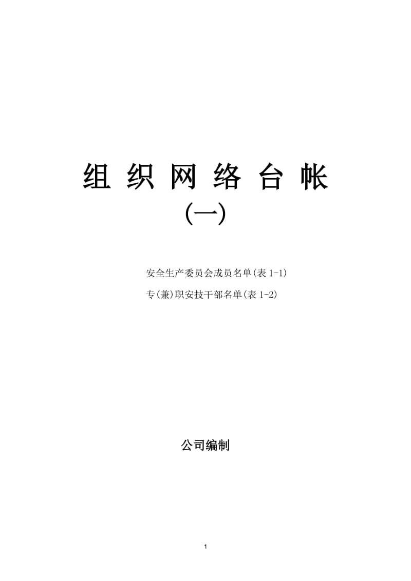 安全生产标准化台账记录(根据评审公司要求制定).doc_第1页