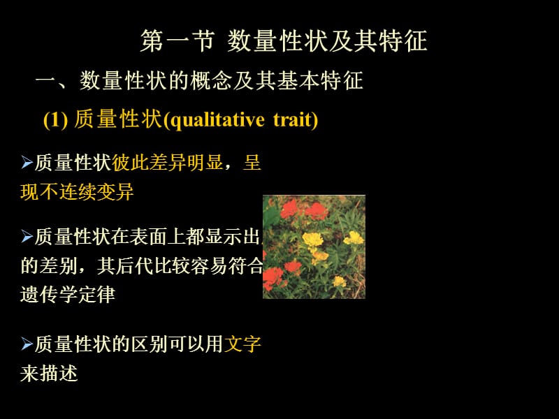 第6章数量遗传分析.ppt_第2页