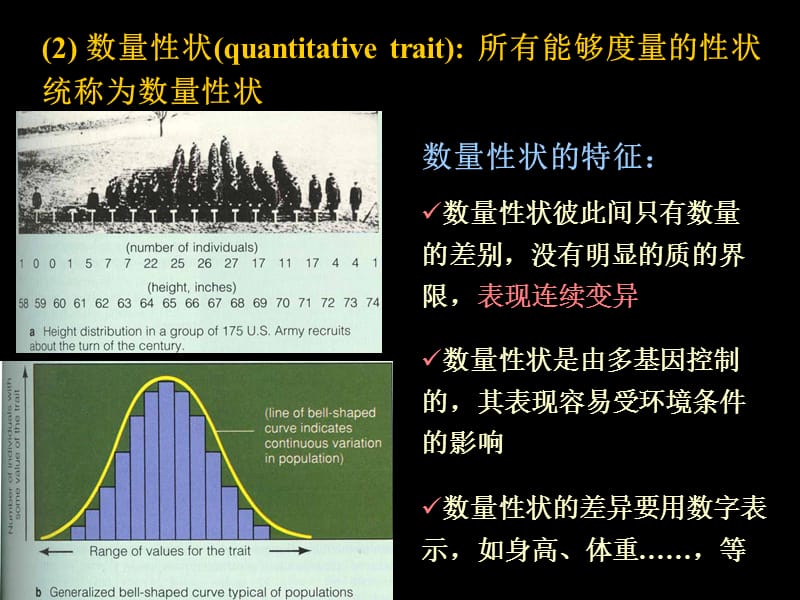 第6章数量遗传分析.ppt_第3页