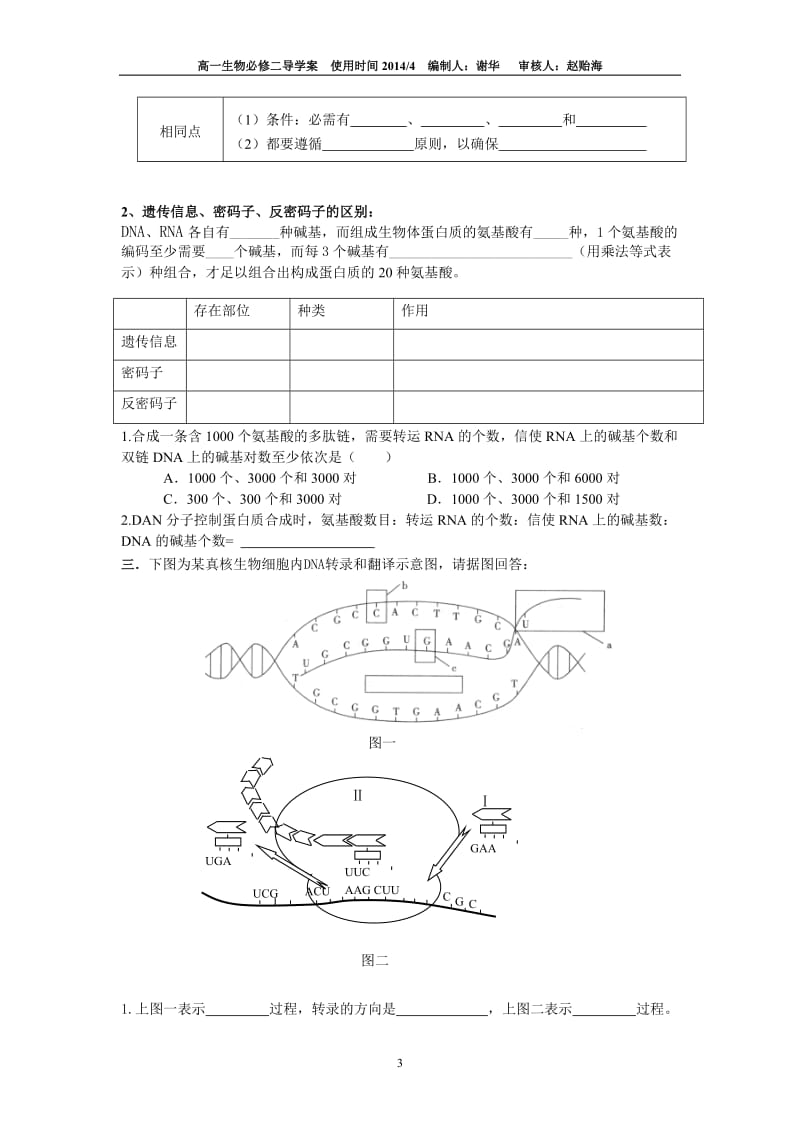 第四章基因控制生物的性状.doc_第3页