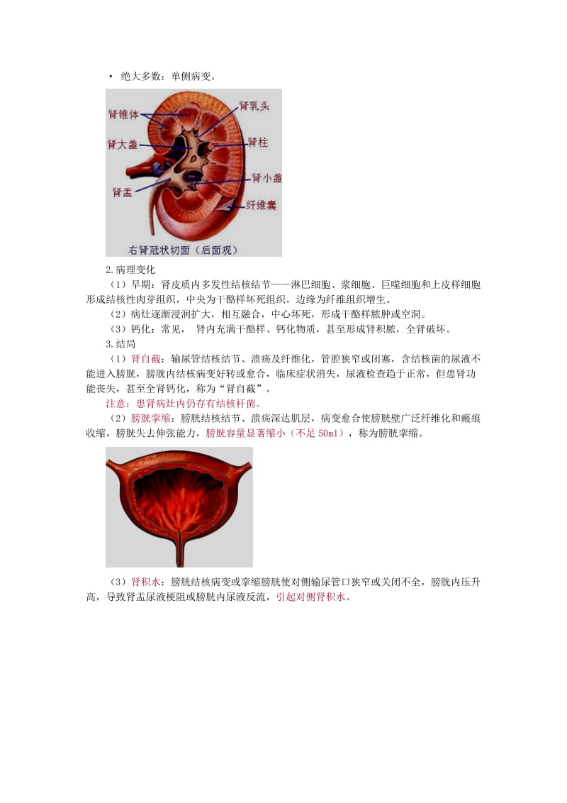 第五章肾结核.doc_第2页