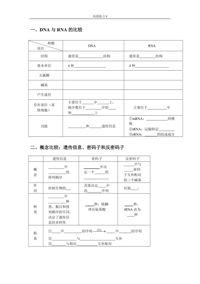 遗传信息等概念比较.doc_第1页