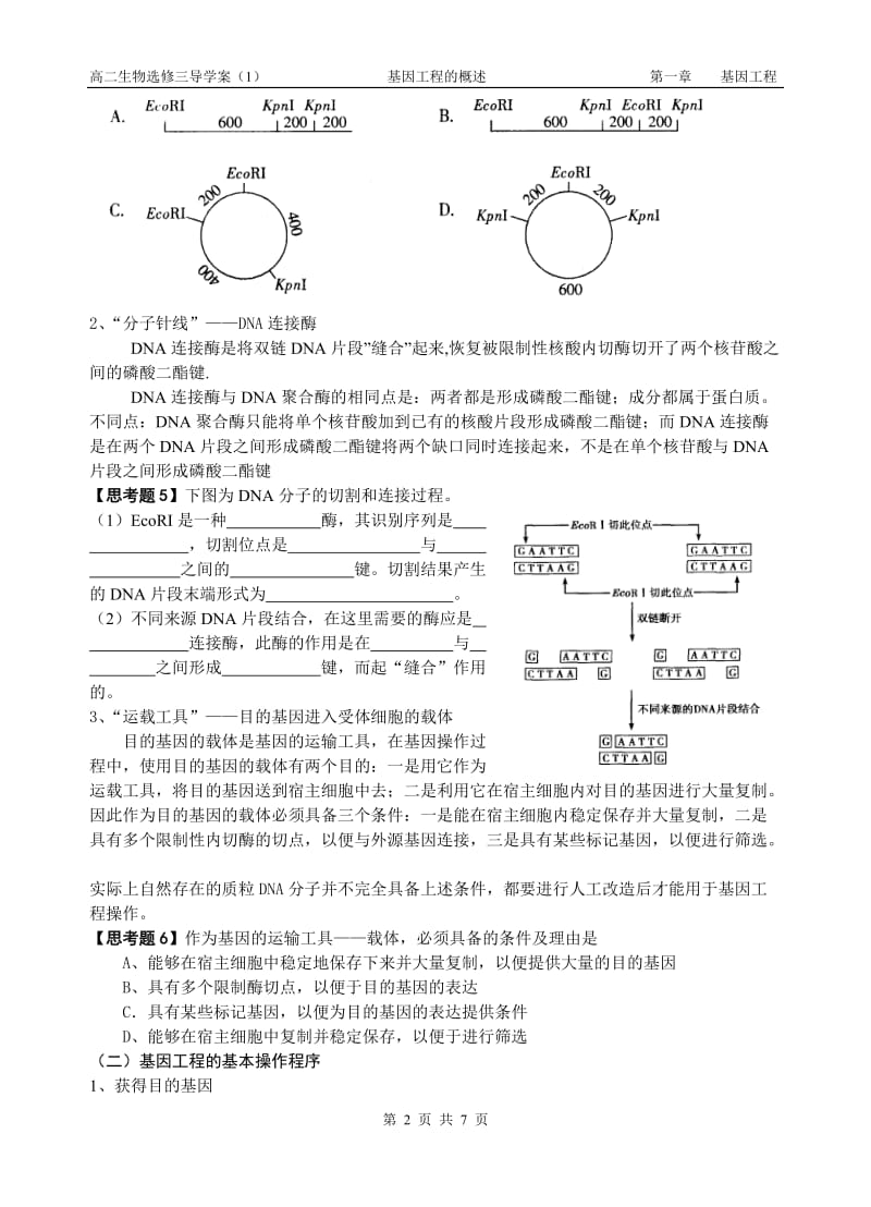 第一节基因工程的概述.doc_第3页