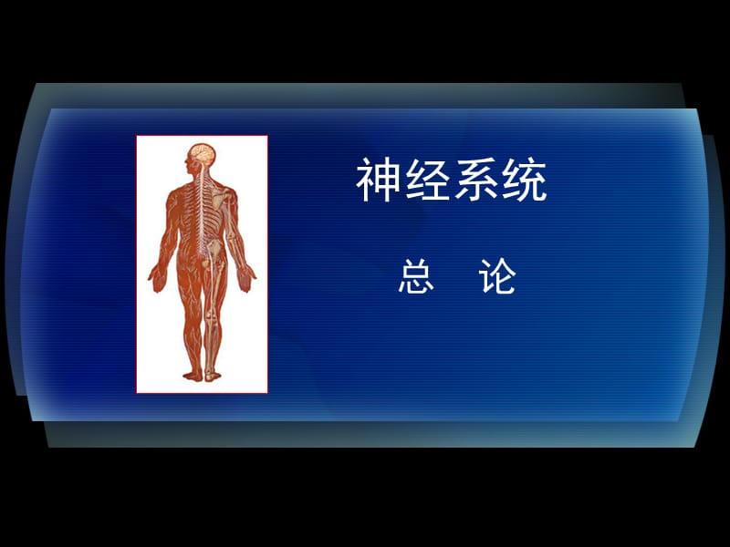 9-第九章-神经系统.ppt_第1页