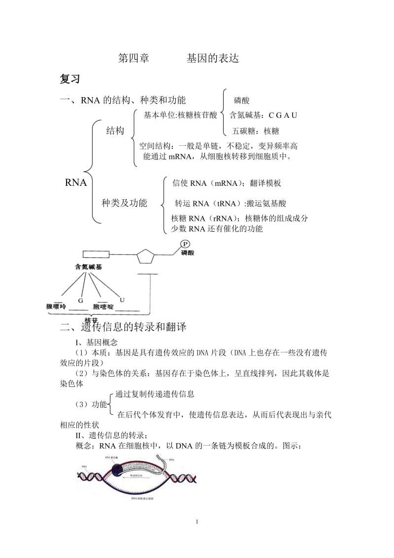 第四章基因的表达.doc_第1页