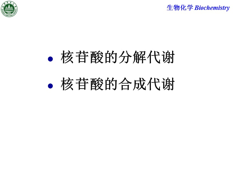 第9章核苷酸代谢.ppt_第2页