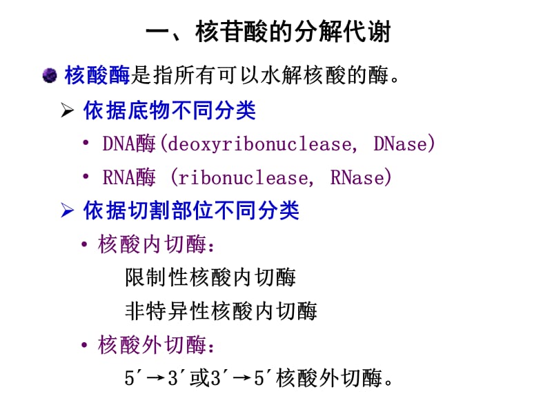 第9章核苷酸代谢.ppt_第3页