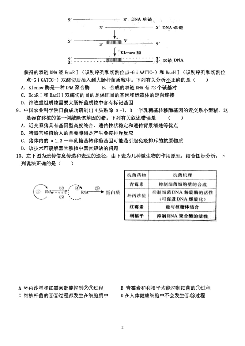 选修综合作业.doc_第2页