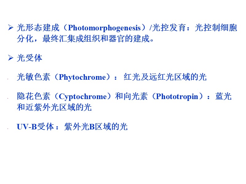 第7章光形态建成.ppt_第2页