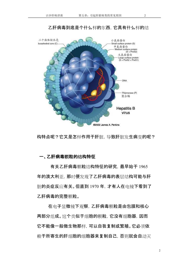 第五章：引起肝脏病变的常见原因.doc_第2页