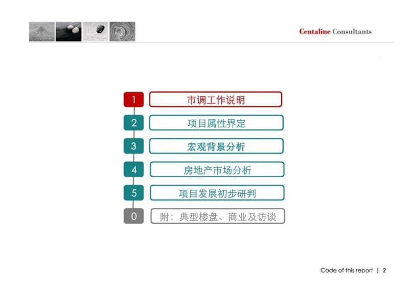 中原2010年海南海口中弘·西海岸项目市场调研成果(3).ppt_第2页