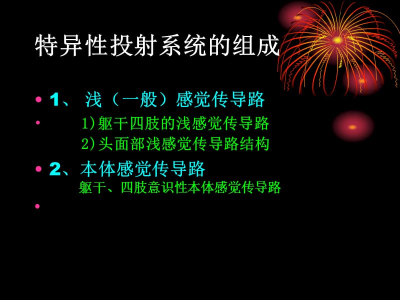 8-08神经系统的功能.ppt_第3页