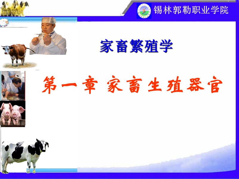 第一章家畜生殖器官.ppt_第1页