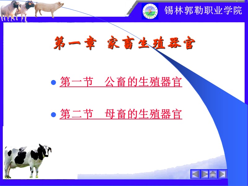 第一章家畜生殖器官.ppt_第2页