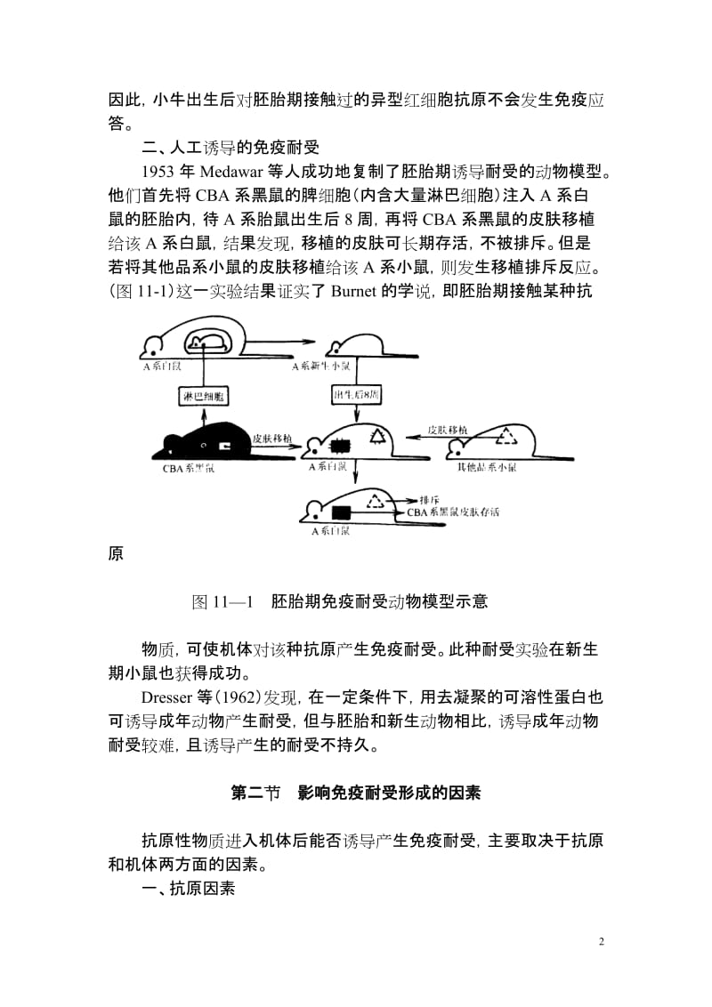 第十一章免疫耐受.doc_第2页