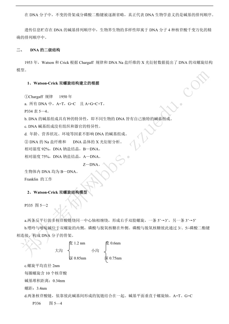 第6章第六章核酸.doc_第3页